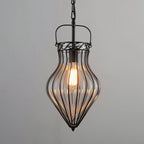 Vintage Industrial Iron Cage Glass Pendant Light - Hand Blown Glass Hanging Lamp